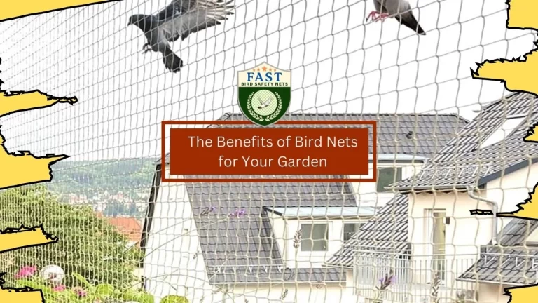 The Benefits of Bird Netting for Your Garden