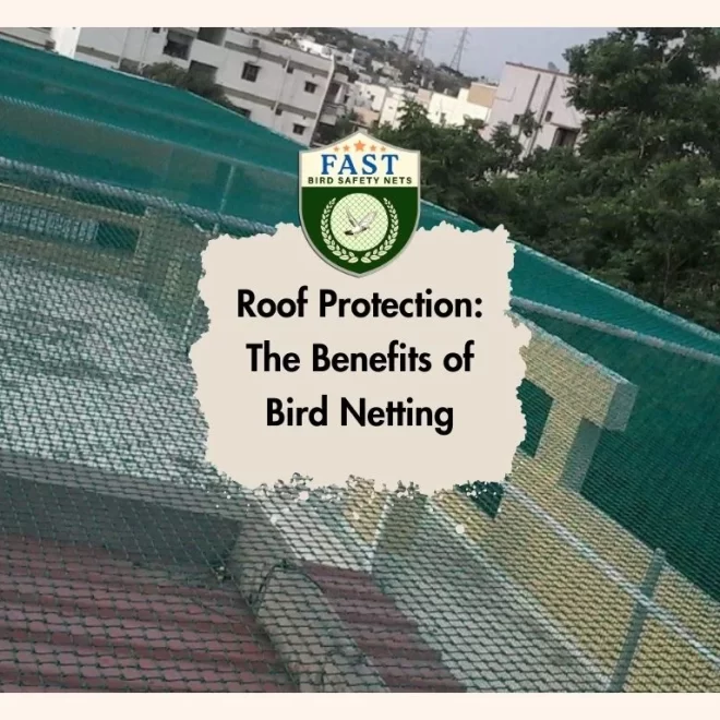 Roof Protection: The Benefits of Bird Netting
