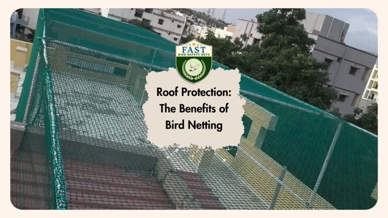Roof Protection: The Benefits of Bird Netting