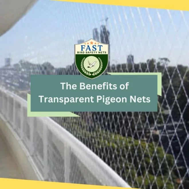 The Benefits of Transparent Pigeon Nets