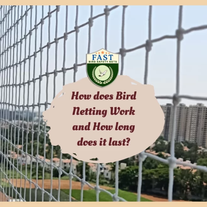 How does Bird Netting Work and How long does it last?