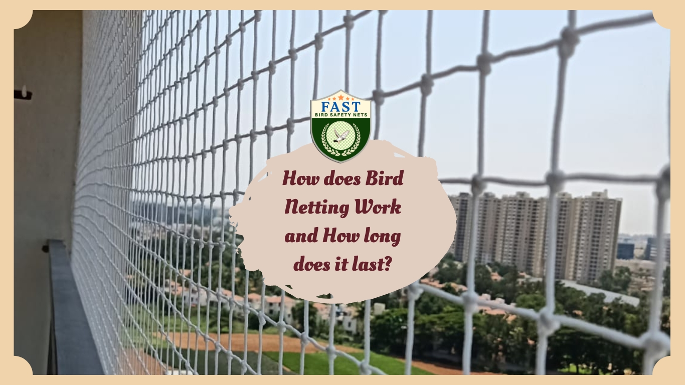 How does Bird Netting Work and How long does it last? - Fast Safety ...