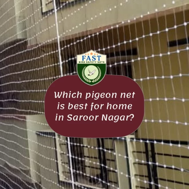Which Pigeon Net is Best for Home in Saroor Nagar?