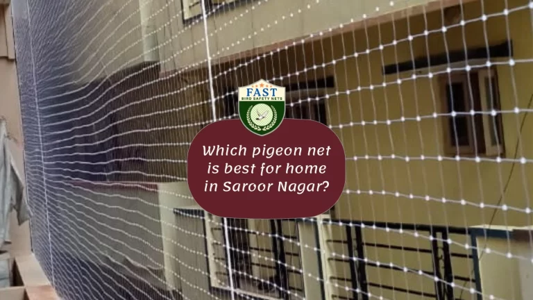 Which Pigeon Net is Best for Home in Saroor Nagar?
