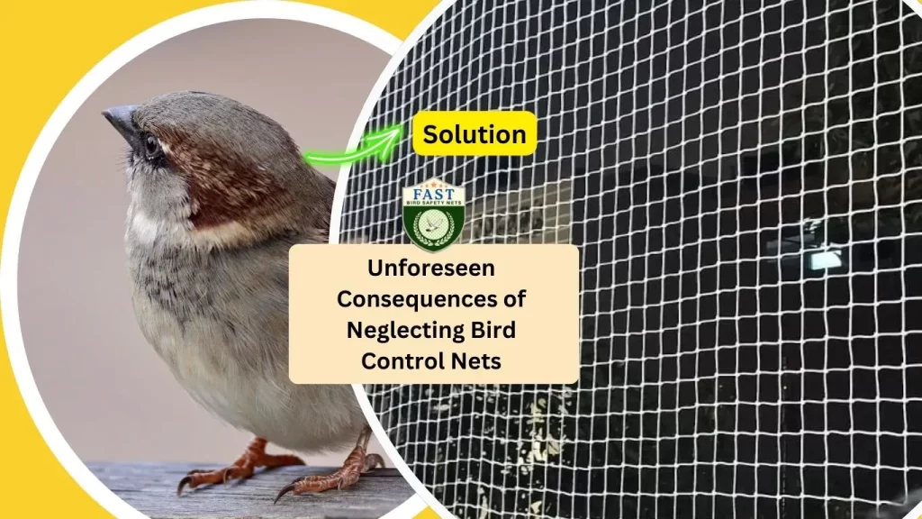 bird control netting