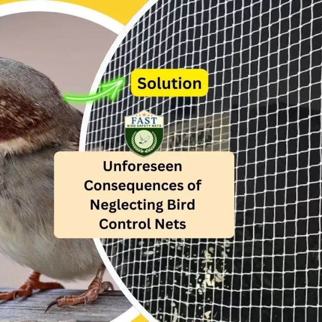 Unforeseen Consequences of Neglecting Bird Control Nets