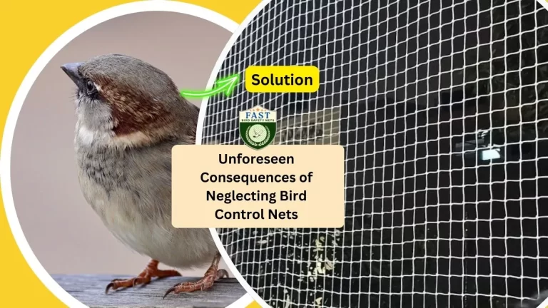 Unforeseen Consequences of Neglecting Bird Control Nets