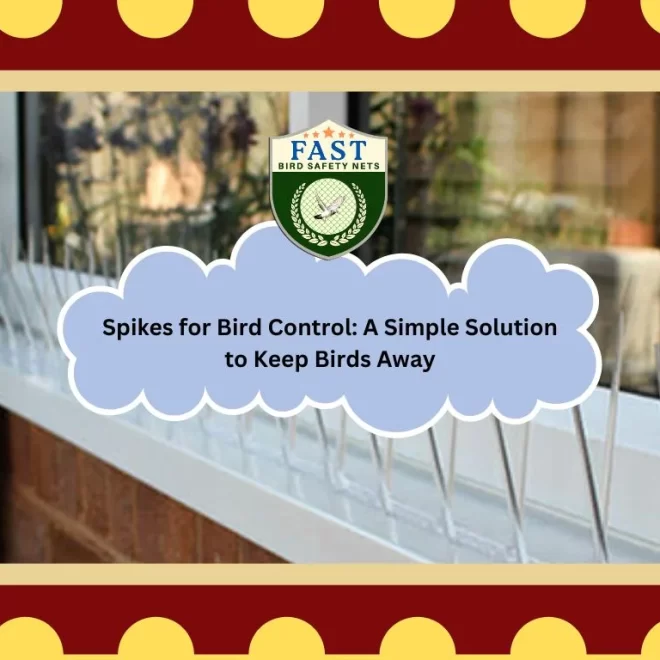 Spikes for Bird Control: A Simple Solution to Keep Birds Away