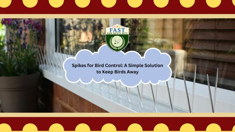 Spikes for Bird Control: A Simple Solution to Keep Birds Away