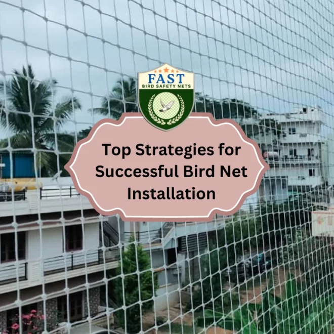 Top Strategies for Successful Bird Net Installation