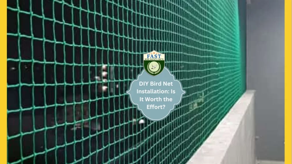 Bird Net Installation