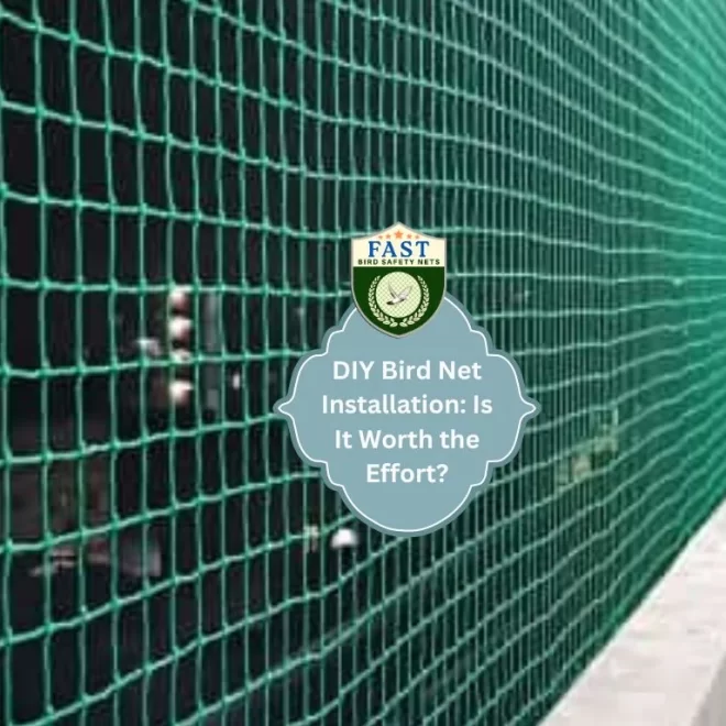 DIY Bird Net Installation: Is It Worth the Effort?