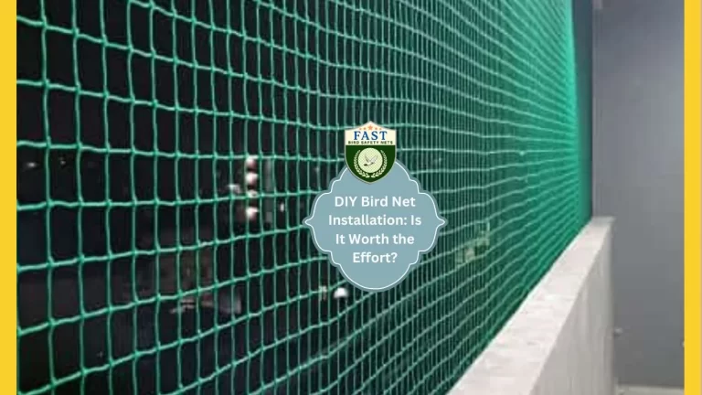 DIY Bird Net Installation: Is It Worth the Effort?