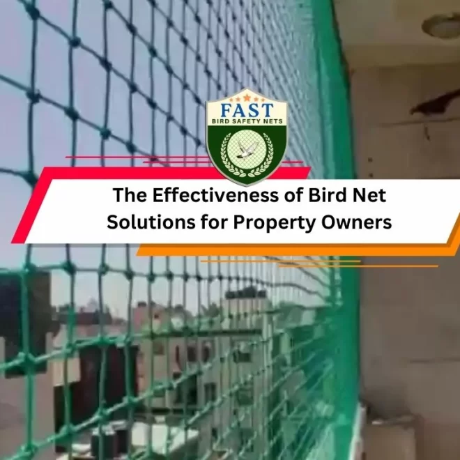 The Effectiveness of Bird Net Solutions for Property Owners