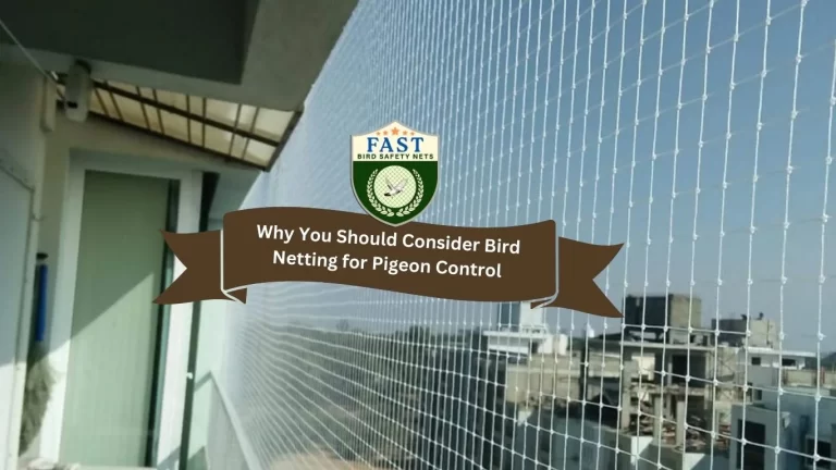 Why You Should Consider Bird Netting for Pigeon Control