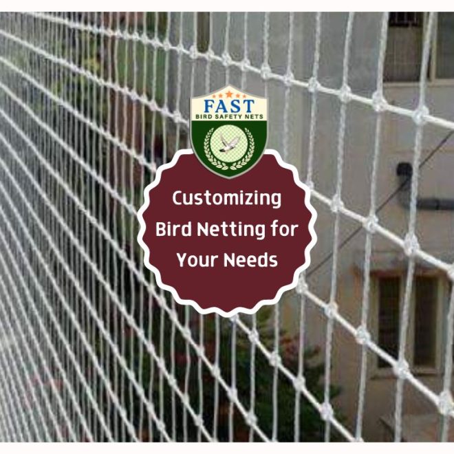 Customizing Bird Netting for Your Needs