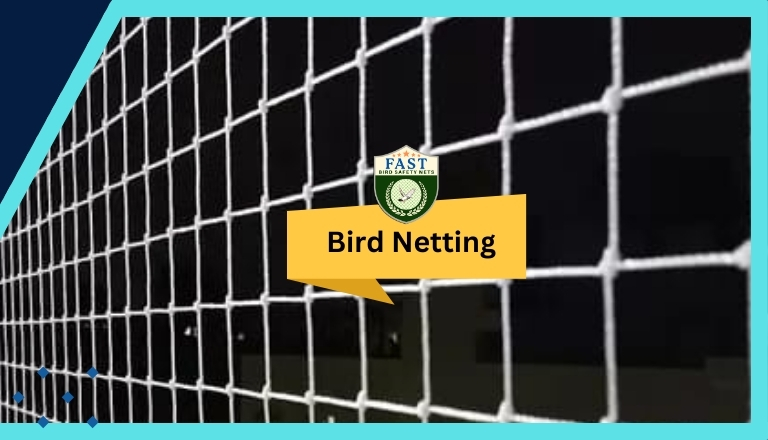 Bird Netting Service