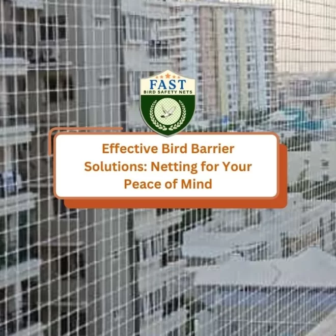 Effective Bird Barrier Solutions: Netting for Your Peace of Mind