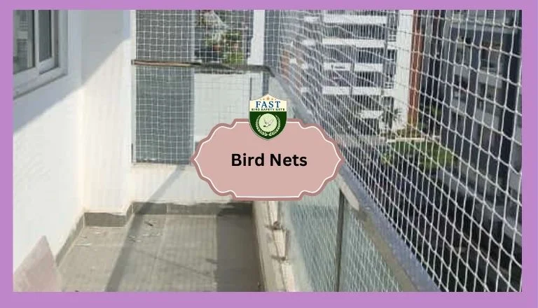 bird net professional near me