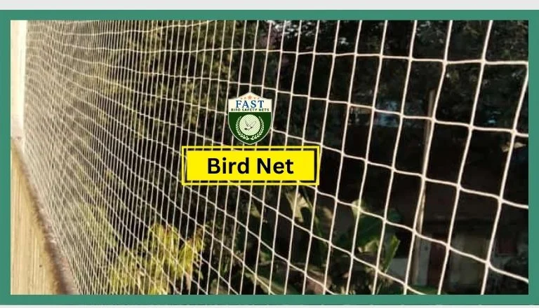 Bird Netting for Pigeons