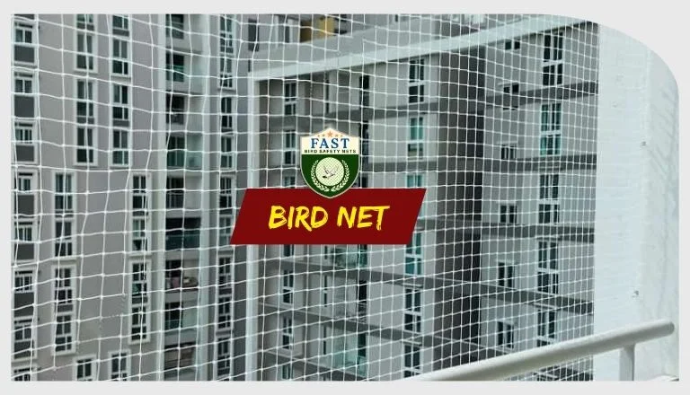 Bird Pigeon Netting