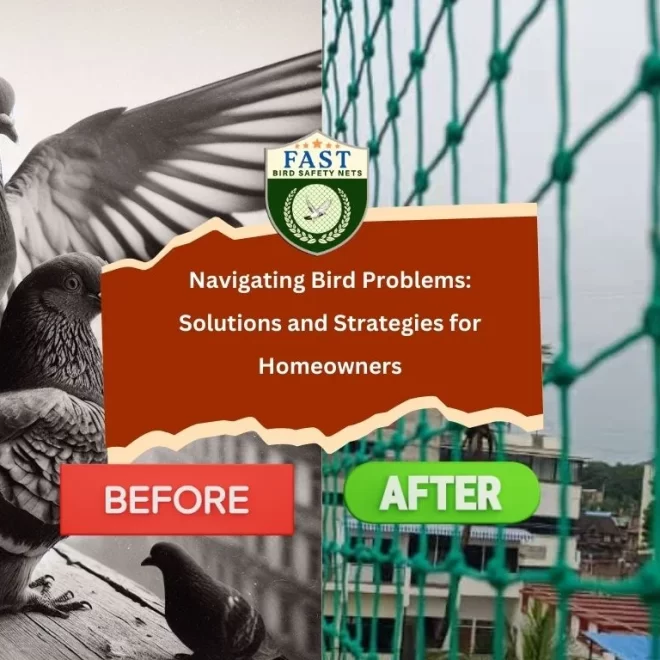 Solving Bird Problems: Strategies for Homeowners