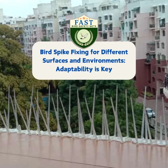 Bird Spike Fixing for Different Surfaces and Environments: Adaptability is Key