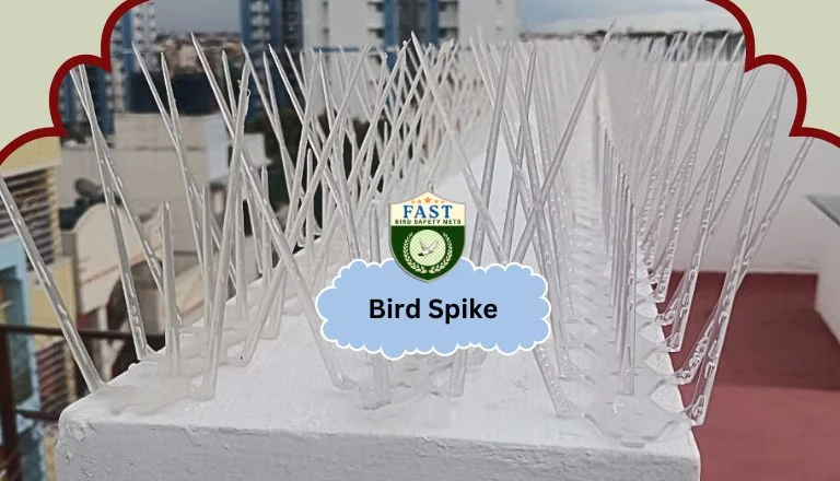 bird spikes fixing