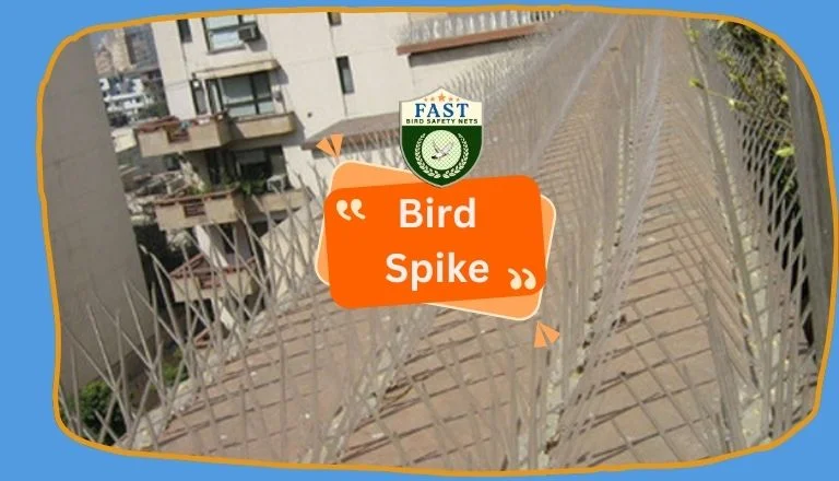 Bird Spikes Solutions