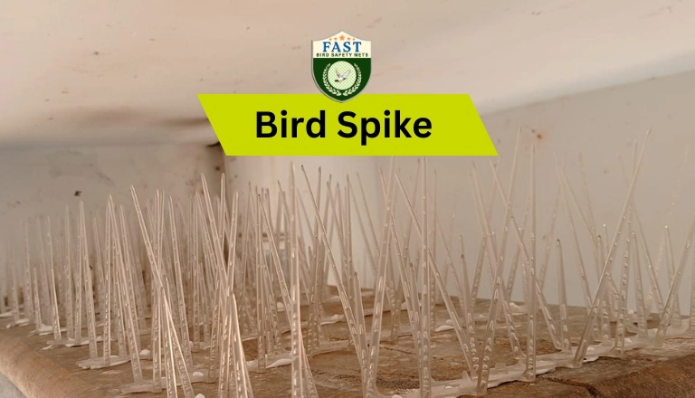 bird spikes fixing