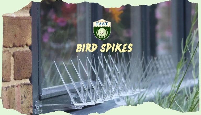 Bird Spikes Fitting nearby