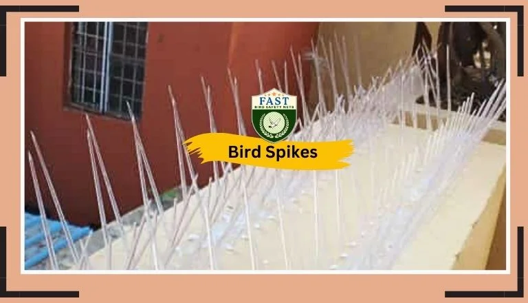 bird-spikes-fixing