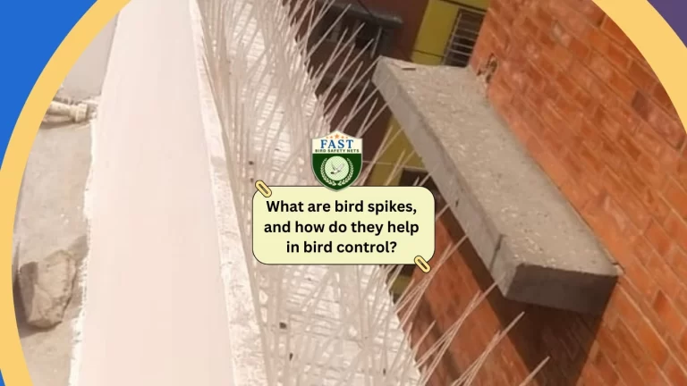 What are bird spikes, and how do they help in bird control? – Functionality of bird spikes