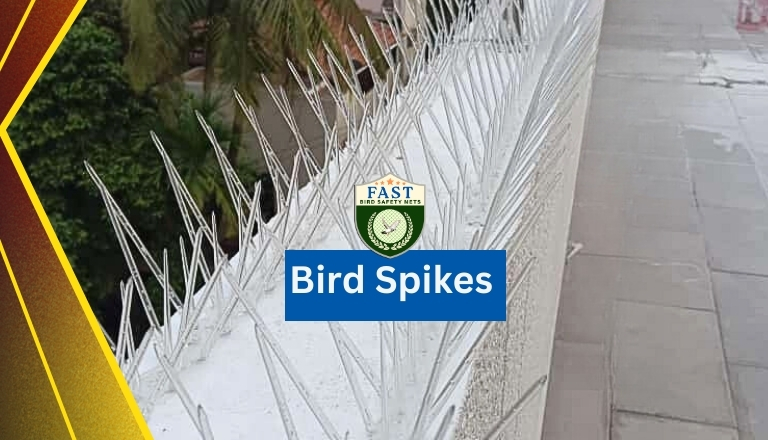 Bird Proofing Spikes