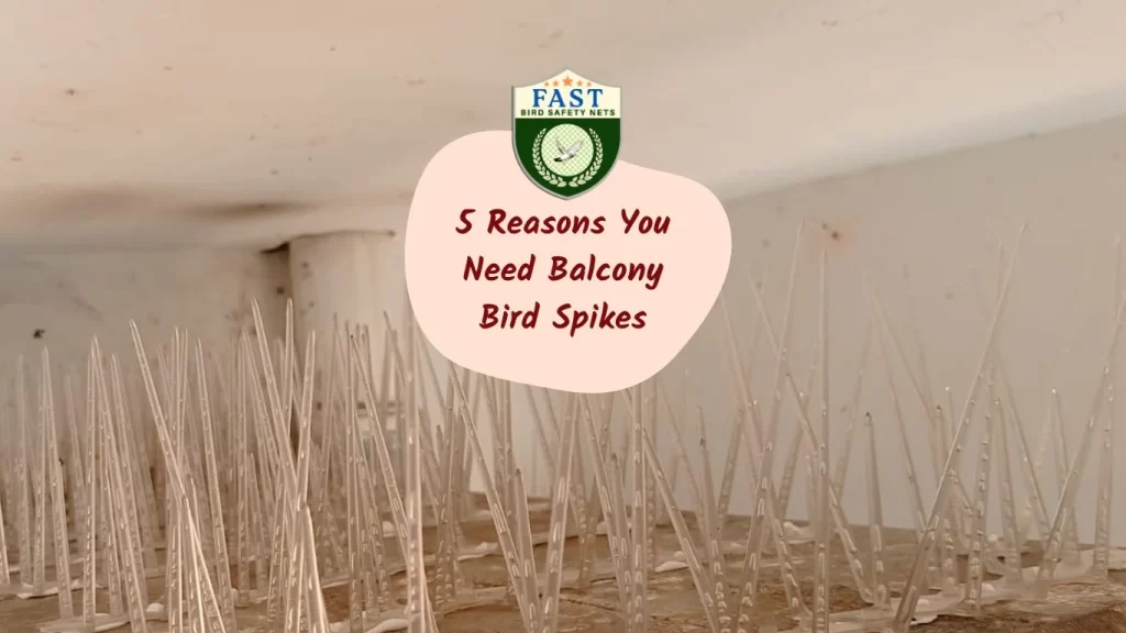 5 Reasons You Need Balcony Bird Spikes