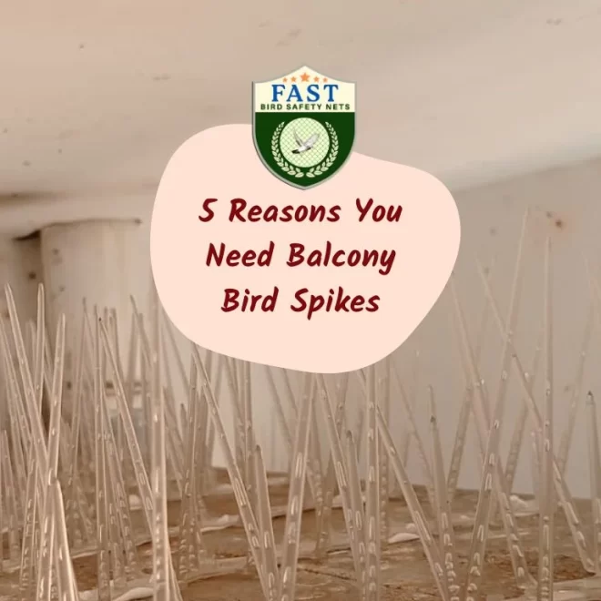 5 Reasons You Need Balcony Bird Spikes
