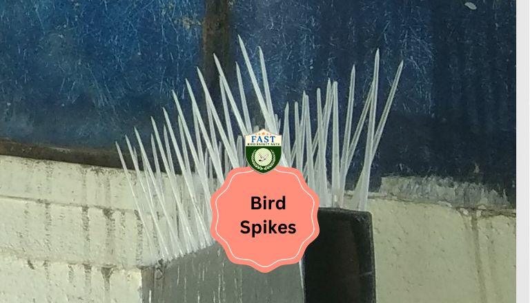 Bird Spikes Installation