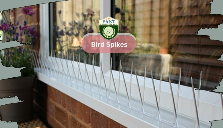 Uses of Installing Bird Spikes