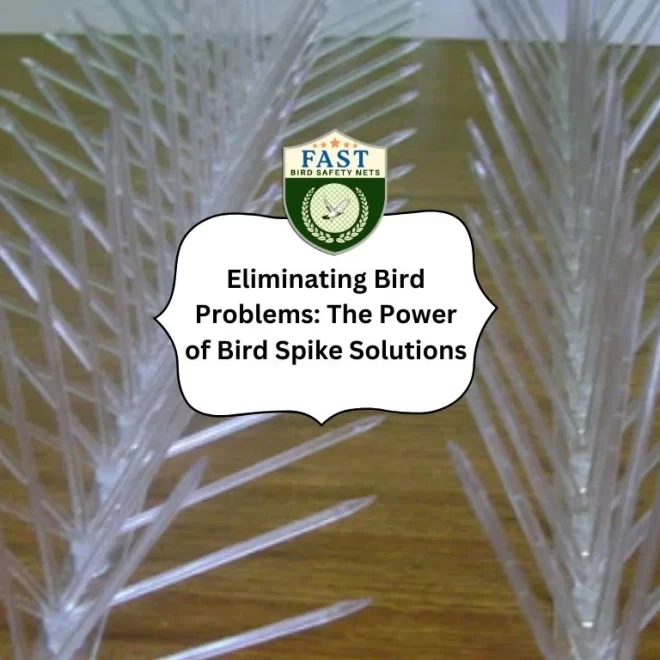 Eliminating Bird Problems: The Power of Bird Spike Solutions