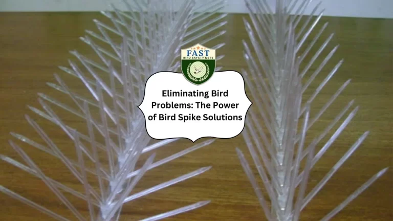 Eliminating Bird Problems: The Power of Bird Spike Solutions