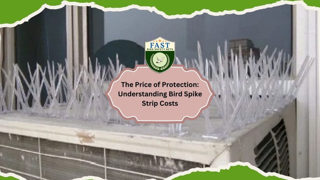 Bird Spikes Strips Cost