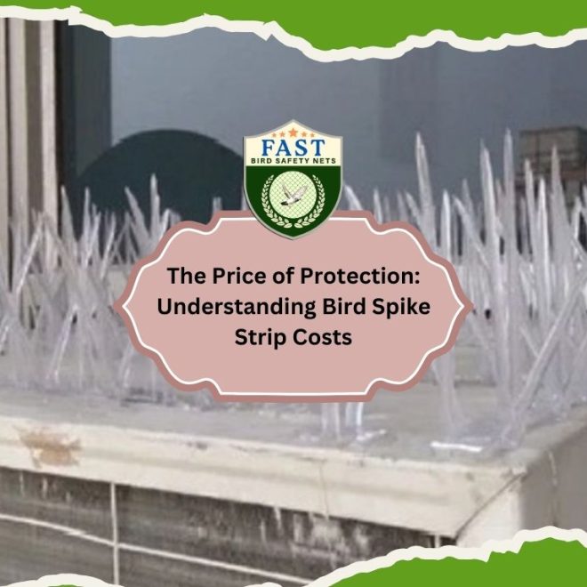 The Price of Protection: Understanding Bird Spike Strip Costs