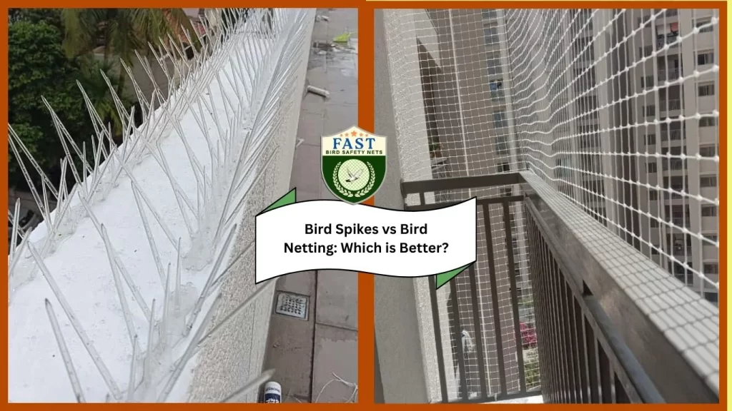 bird spikes vs bird netting which is better