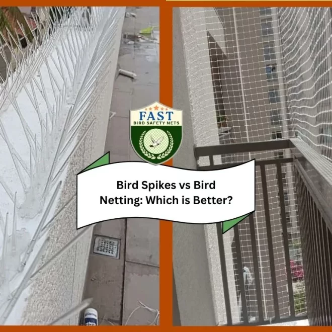 Bird Spikes vs Bird Netting: Which is Better?