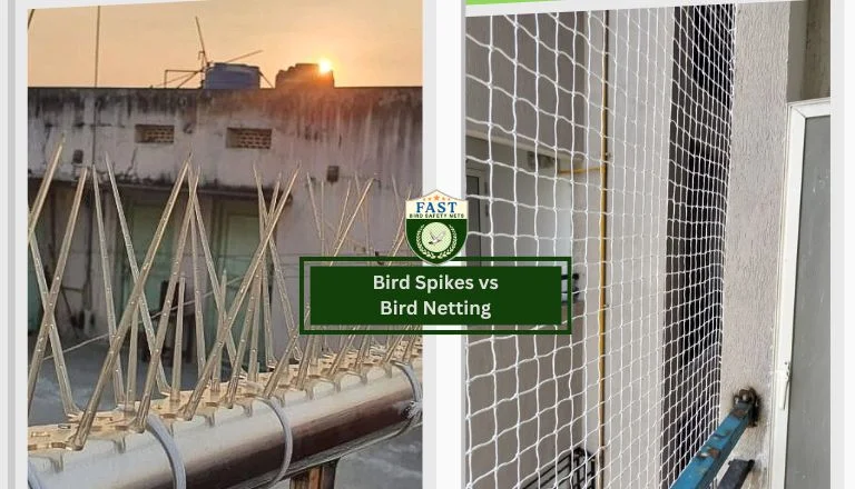 bird spikes vs bird netting