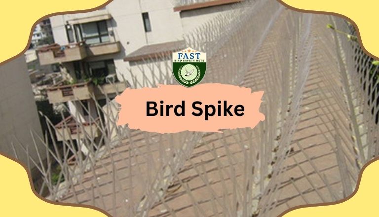 Bird Spikes