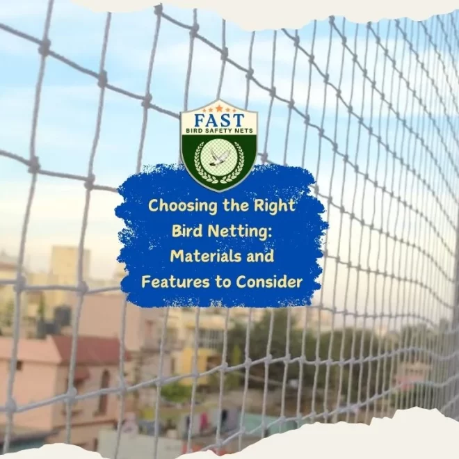 Choosing the Right Bird Netting: Materials and Features to Consider