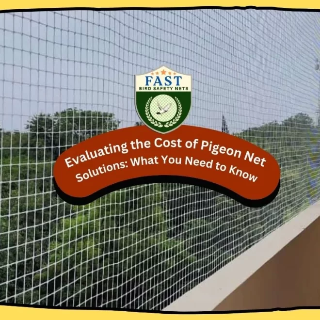 Evaluating the Cost of Pigeon Net Solutions: What You Need to Know