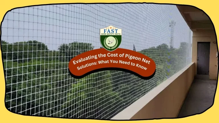 Evaluating the Cost of Pigeon Net Solutions: What You Need to Know