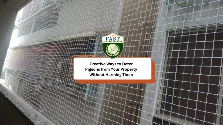 Creative Ways to Deter Pigeons from Your Property Without Harming Them